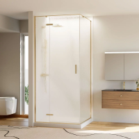 Душевой угол раздвижной прямоугольный RV073RG/L-8090-06-C4 800х900х1950 Цвет профиля Золото брашинг Стекло Дождь Veconi